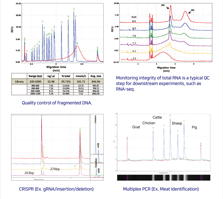 613호-NGS Library QC를 위한 Qsep Fragment Analyzer series – (주)바이오디