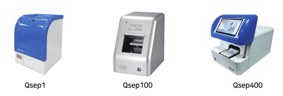 qsep-series-21.jpg