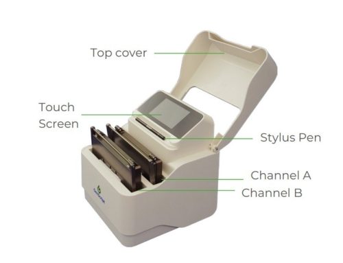 Cell Biomaterials 논문으로 보는 Western blot Transfer의 중요성
