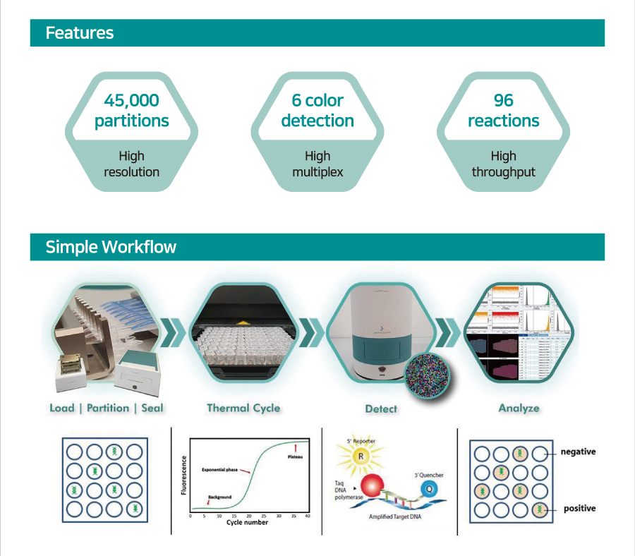 545호-Chip-based digital PCR can accurately quantify standards – (주)바이오디