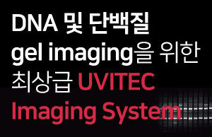 536호-DNA 및 단백질 gel imaging을 위한 최상급 UVITEC Imaging System – (주)바이오디